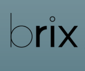 brix academy (브릭스아카데미) 로고